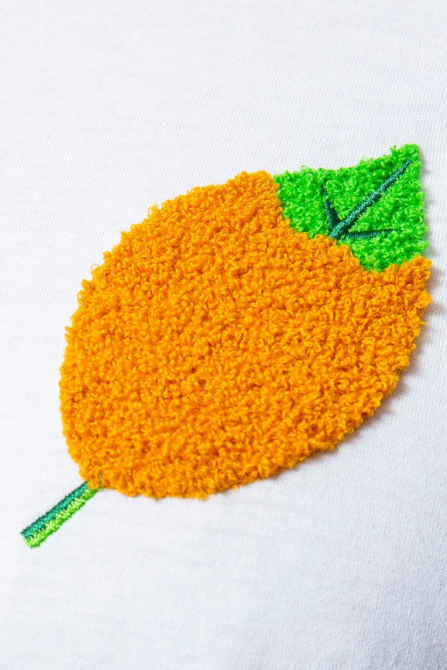 camiseta-sir-lemon-paparajote