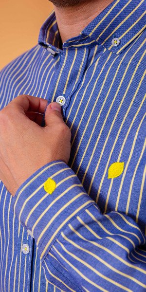 camisa_sir_lemon_rayas_colores