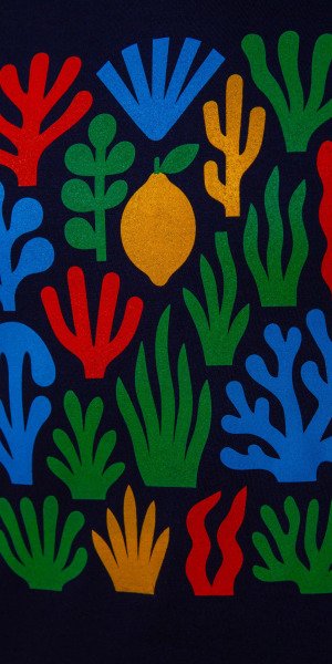 camiseta_Sir_lemon_corales_fabricada_en_españa